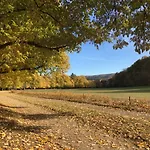 Suite Mit Blick Auf Die Lichtentaler Allee